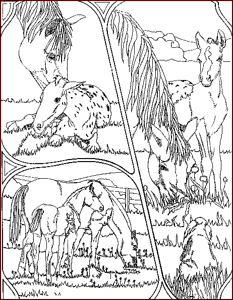 coloriage tableau de chevaux
